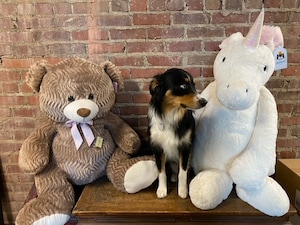 Jumbo Stuffed Animals
